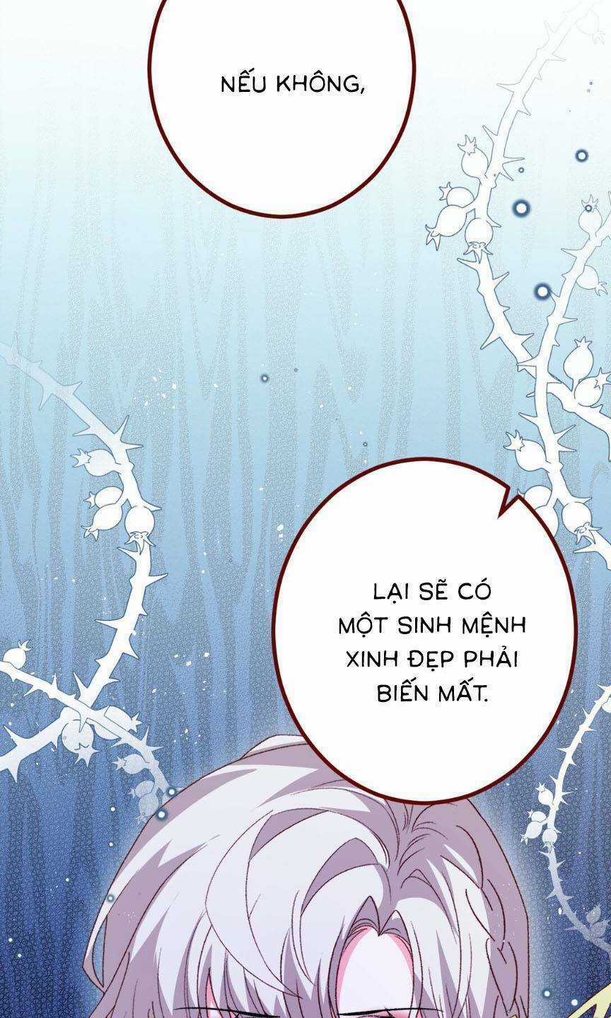 Ninita Yêu Dấu Chapter 71 trang 24