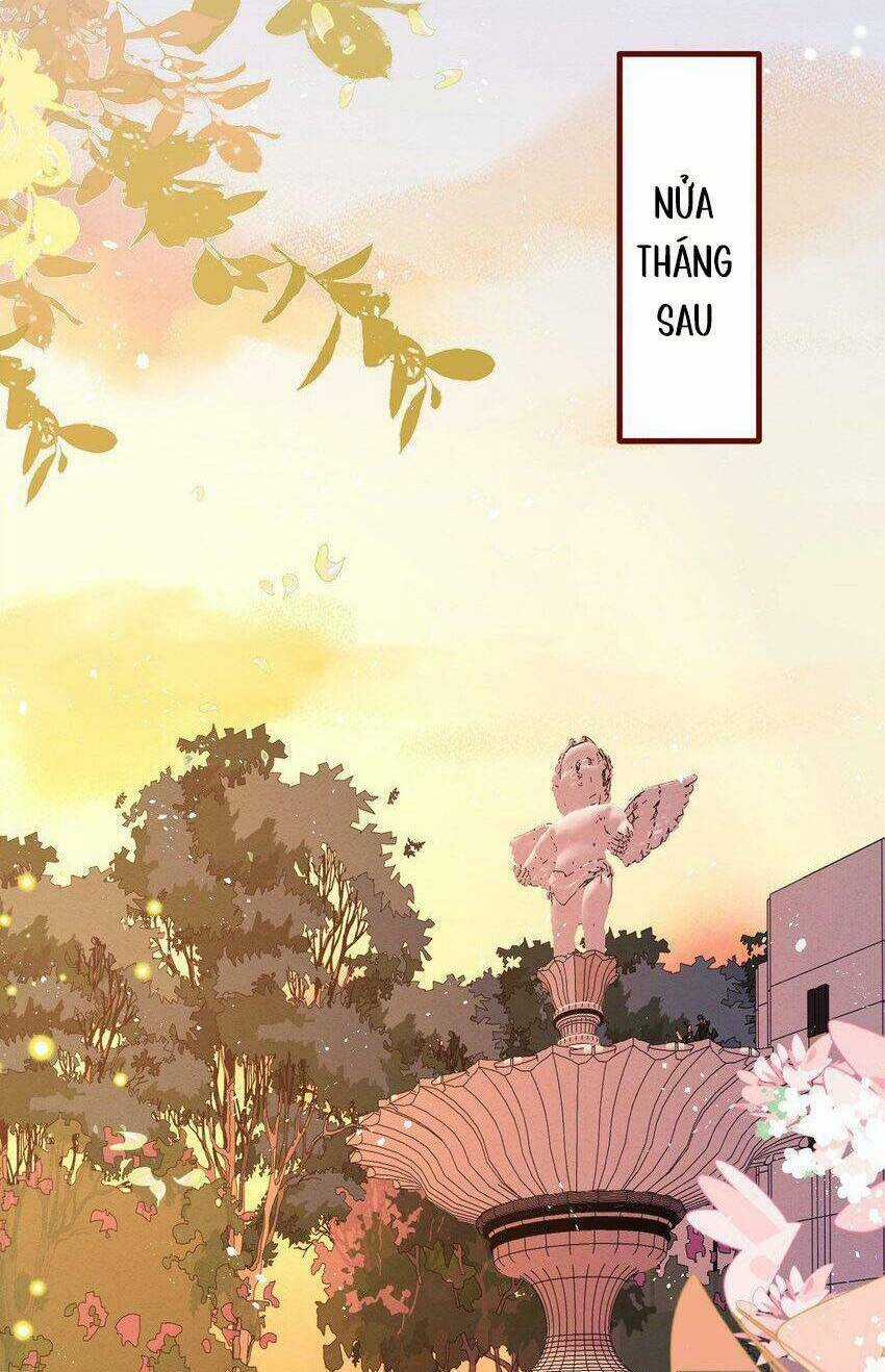 Ninita Yêu Dấu Chapter 74 trang 17