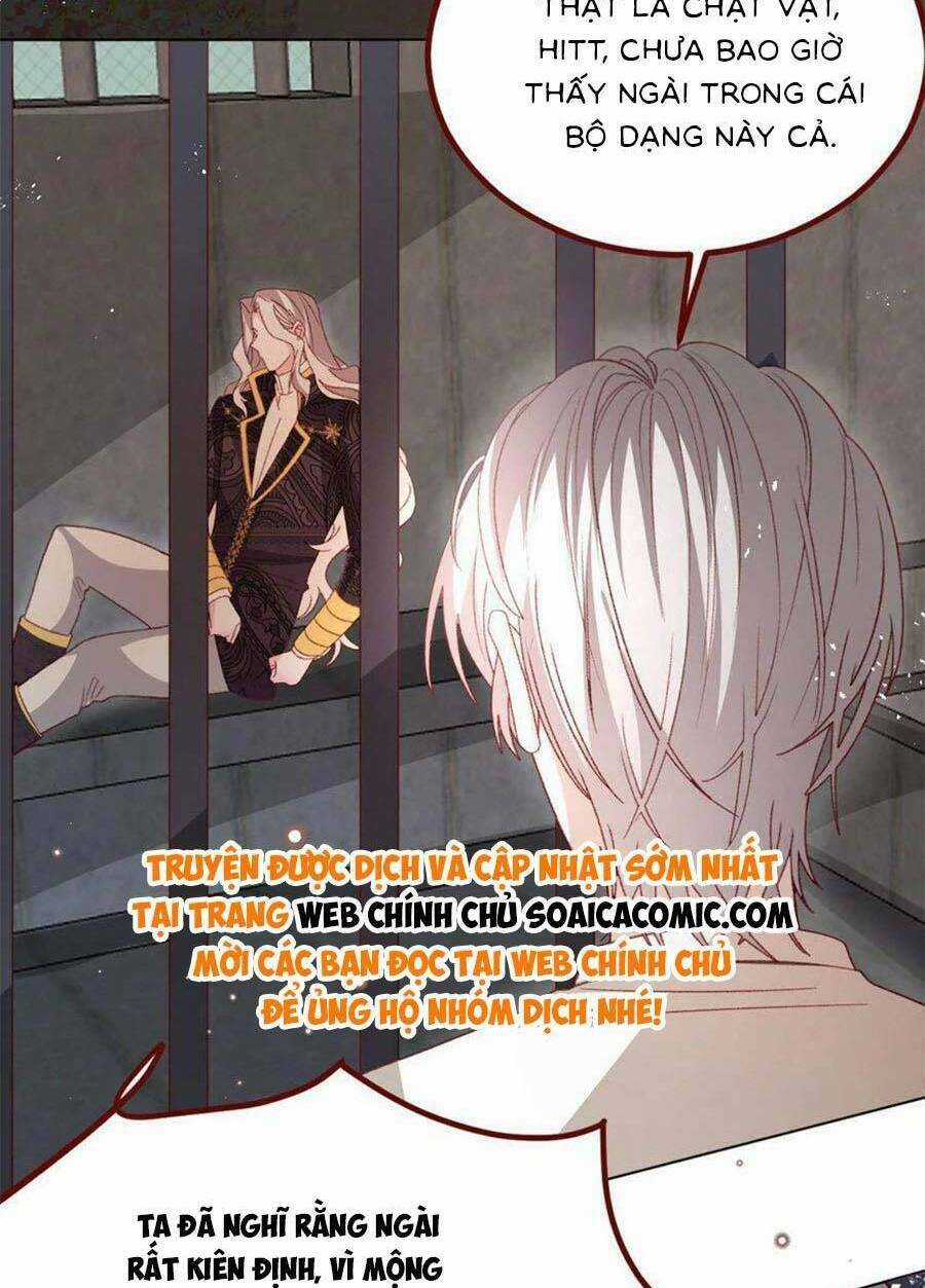 Ninita Yêu Dấu Chapter 75 trang 2