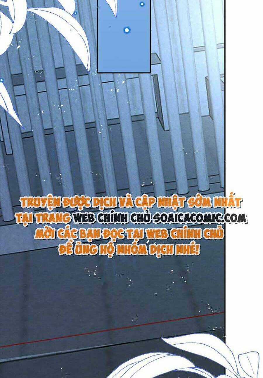 Ninita Yêu Dấu Chapter 77 trang 39