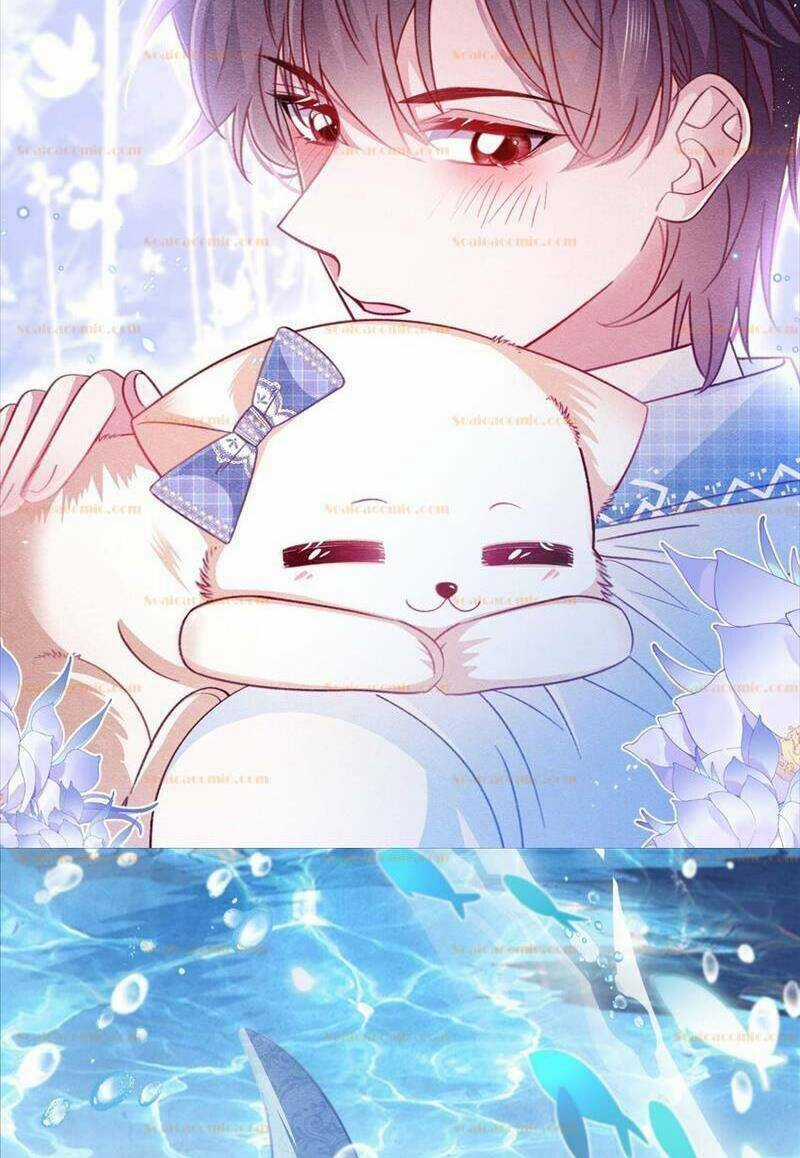 Ninita Yêu Dấu Chapter 86.5 trang 14