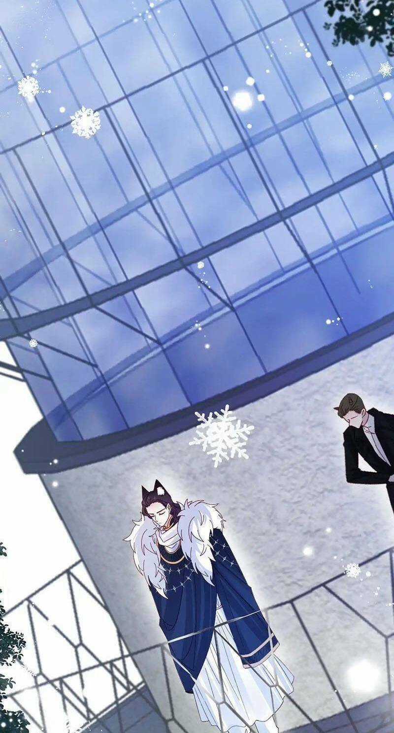 Ninita Yêu Dấu Chapter 87 trang 14