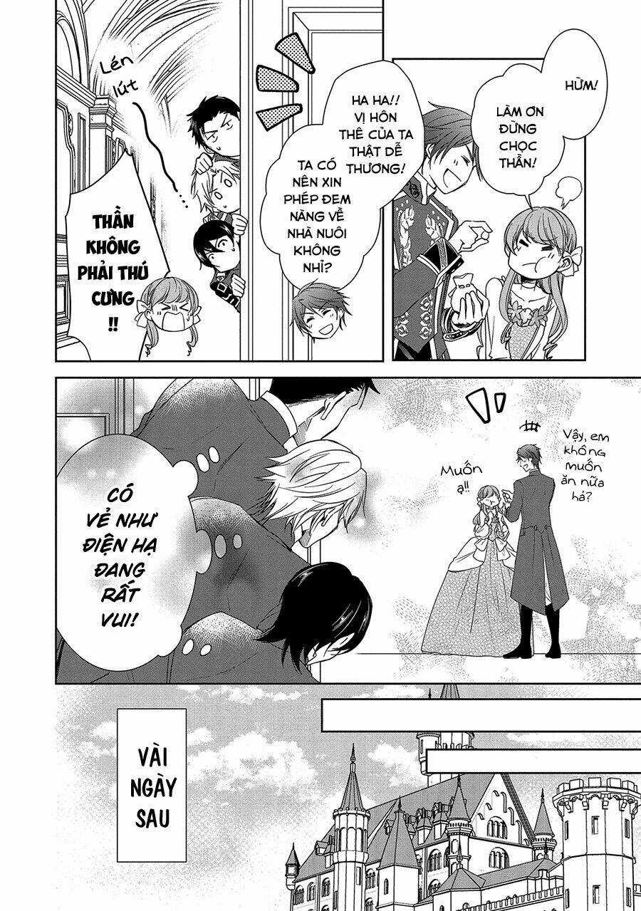 Niwaka Reijou Wa Outaishi Denka No Yatoware Konyakusha Chapter 4 trang 17