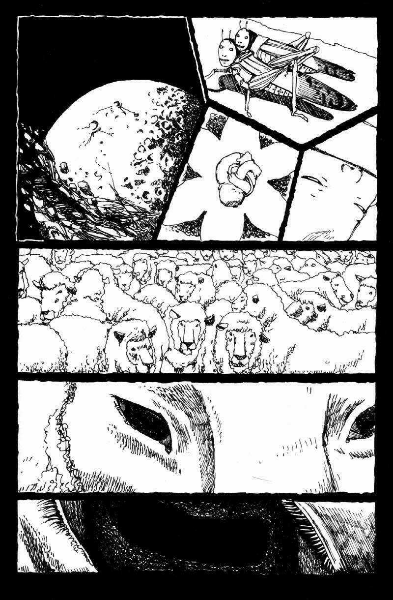 No. 5 Chapter 6 trang 29