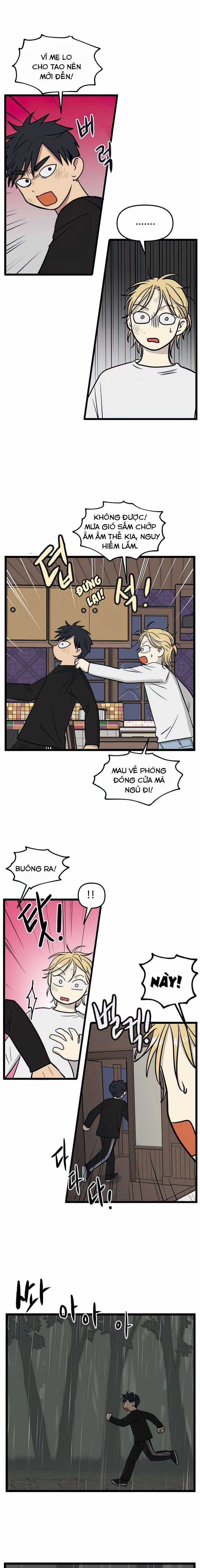 NO HOME Chapter 104 trang 5