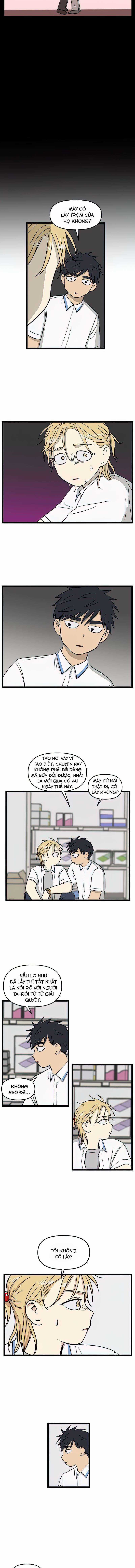 NO HOME Chapter 113 trang 2