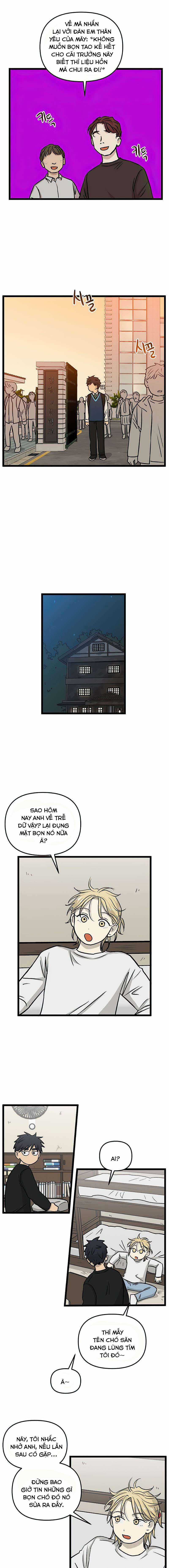 NO HOME Chapter 151 trang 8