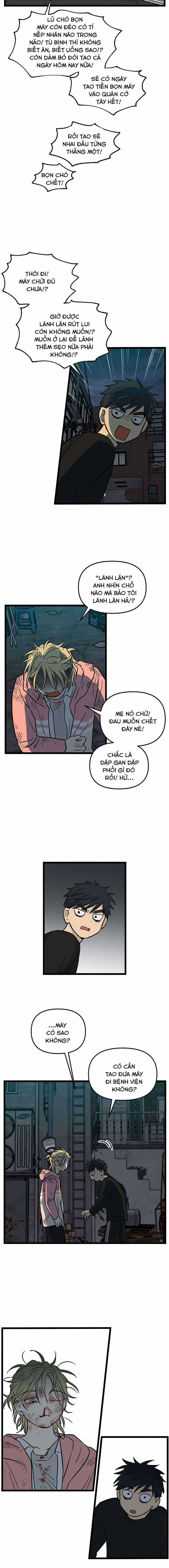 NO HOME Chapter 155 trang 2