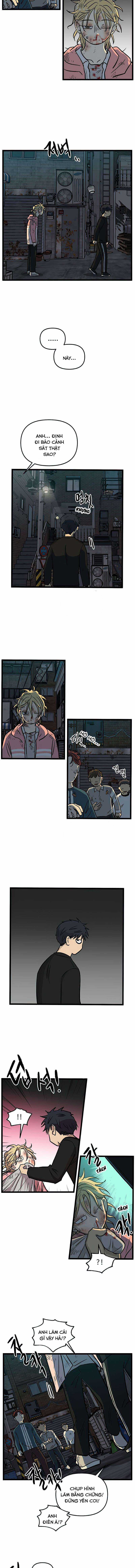 NO HOME Chapter 155 trang 4