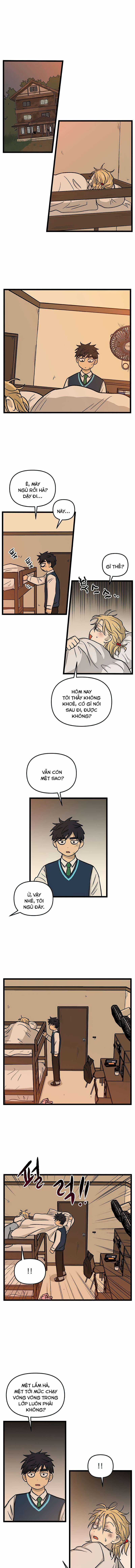 NO HOME Chapter 156 trang 6