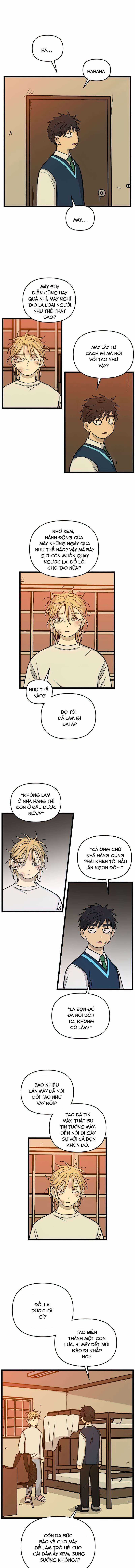 NO HOME Chapter 157 trang 2