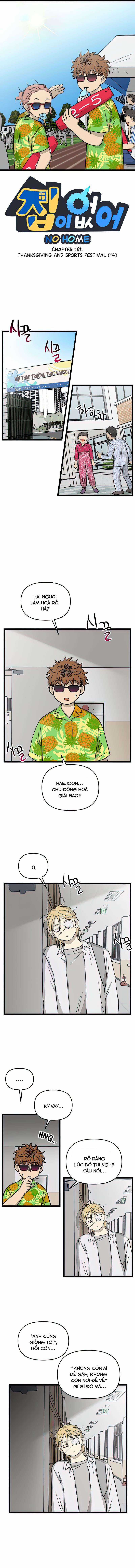 NO HOME Chapter 161 trang 0