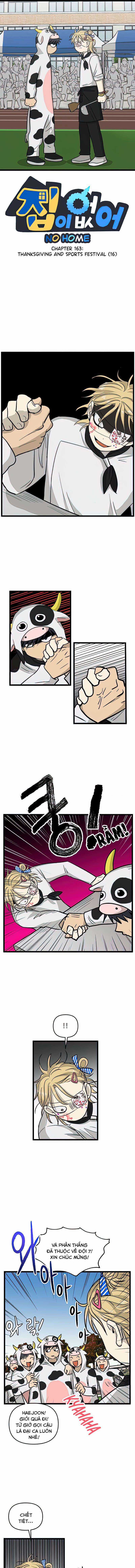 NO HOME Chapter 163 trang 0