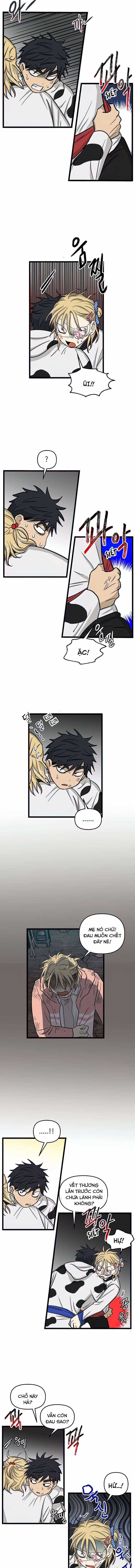 NO HOME Chapter 164 trang 3