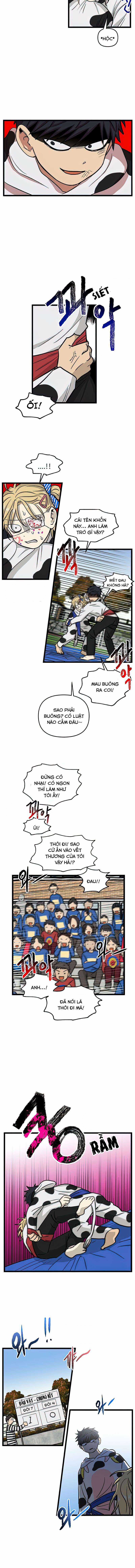 NO HOME Chapter 164 trang 4