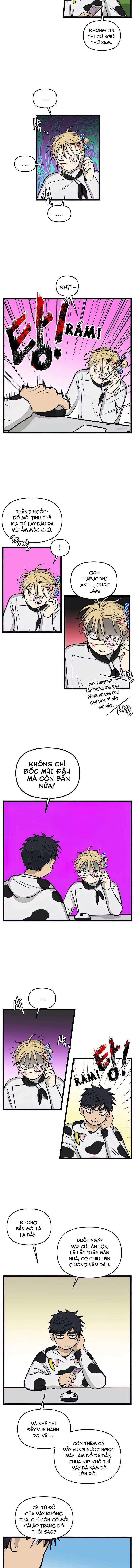 NO HOME Chapter 165 trang 5