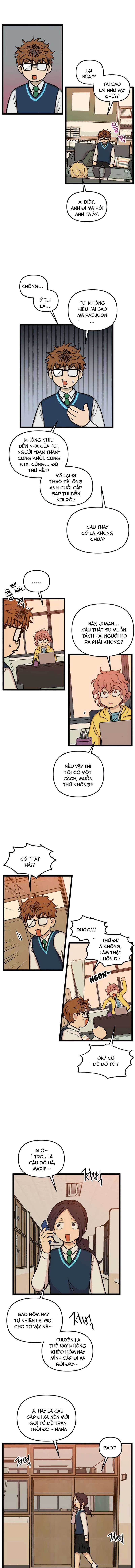 NO HOME Chapter 173 trang 3