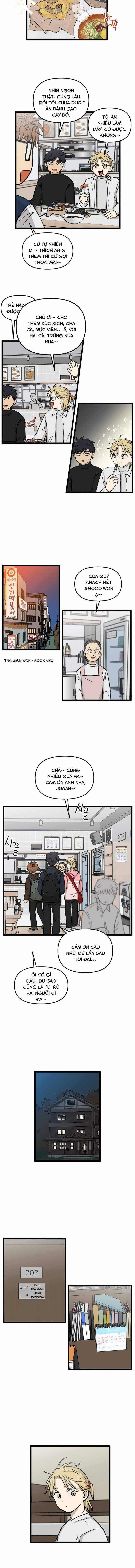 NO HOME Chapter 186 trang 4