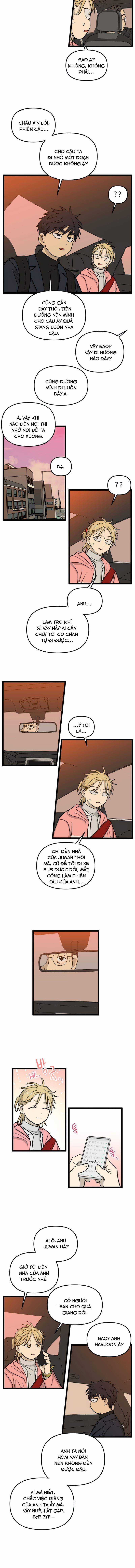 NO HOME Chapter 187 trang 5