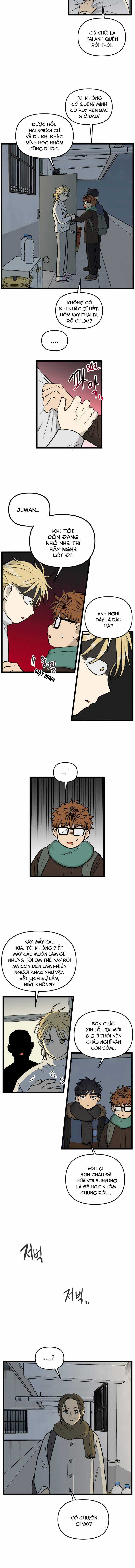 NO HOME Chapter 203 trang 1