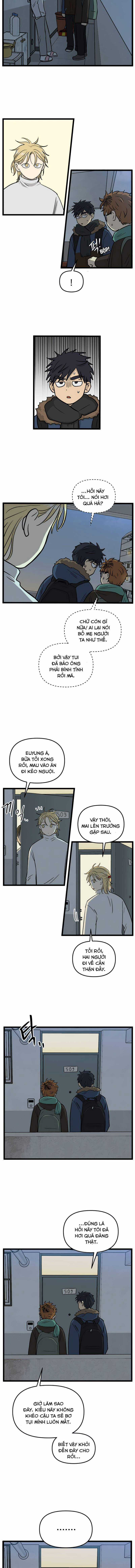 NO HOME Chapter 203 trang 6