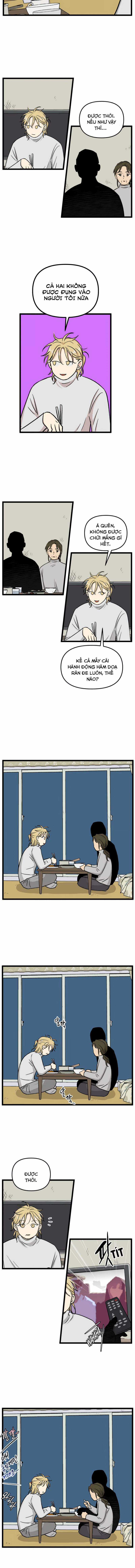 NO HOME Chapter 204 trang 3