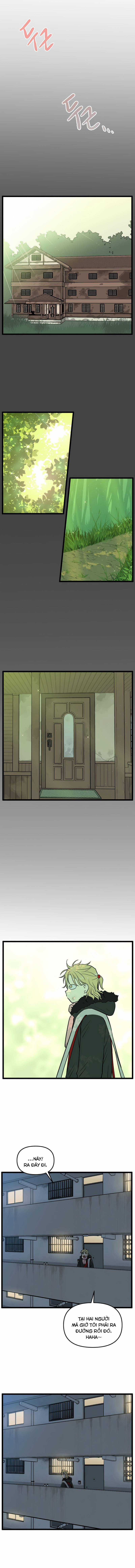 NO HOME Chapter 206 trang 1