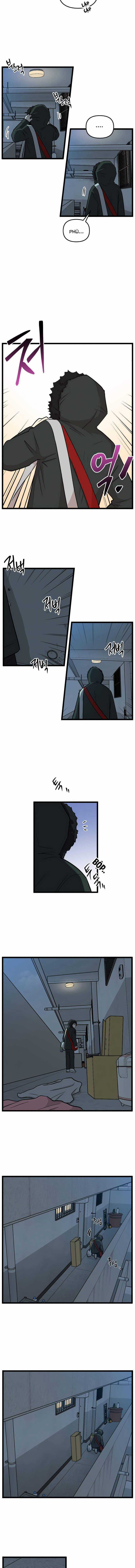 NO HOME Chapter 206 trang 3