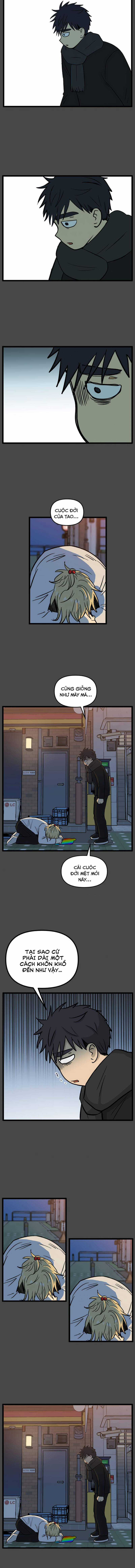 NO HOME Chapter 207 trang 5