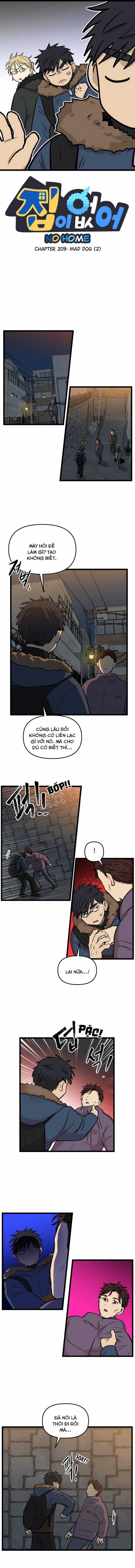 NO HOME Chapter 209 trang 0