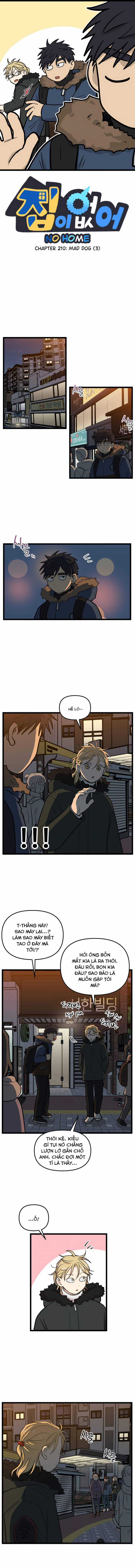 NO HOME Chapter 210 trang 0