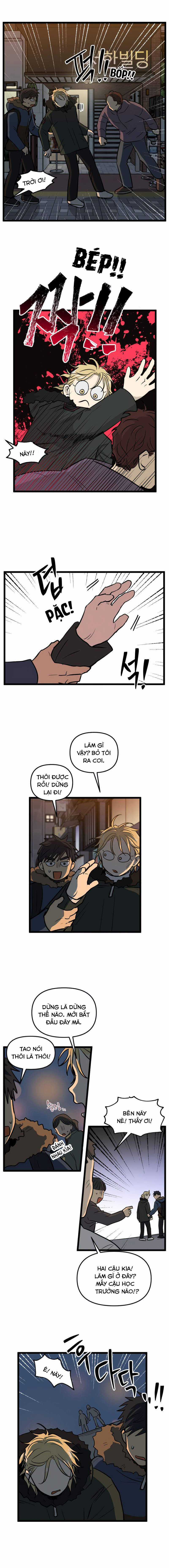 NO HOME Chapter 210 trang 2