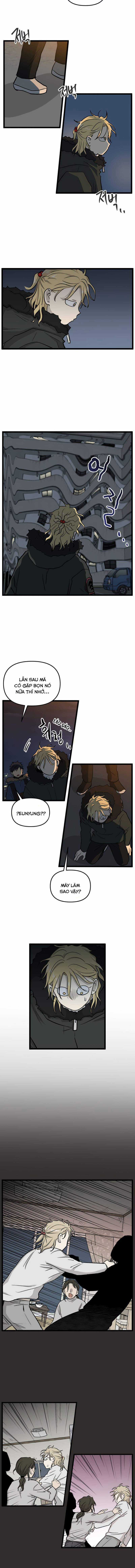 NO HOME Chapter 210 trang 7