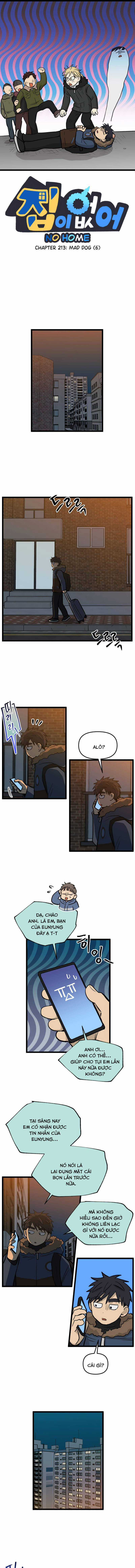 NO HOME Chapter 213 trang 0
