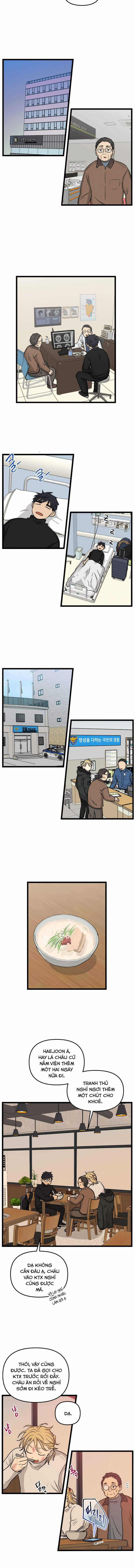 NO HOME Chapter 214 trang 5