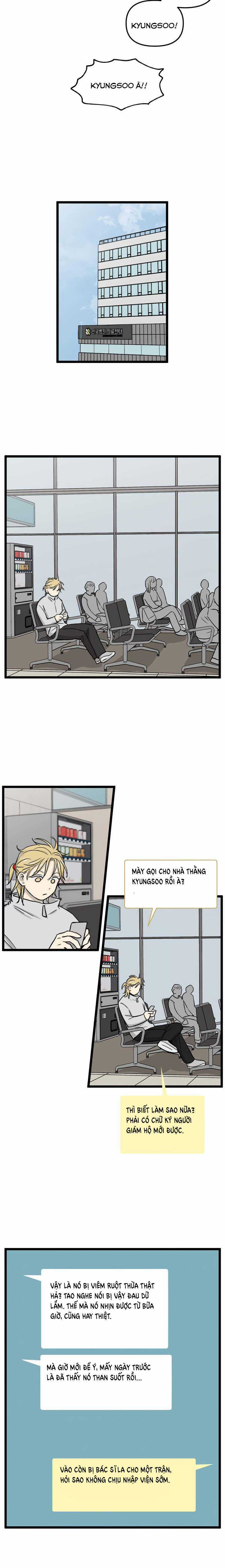 NO HOME Chapter 221 trang 5