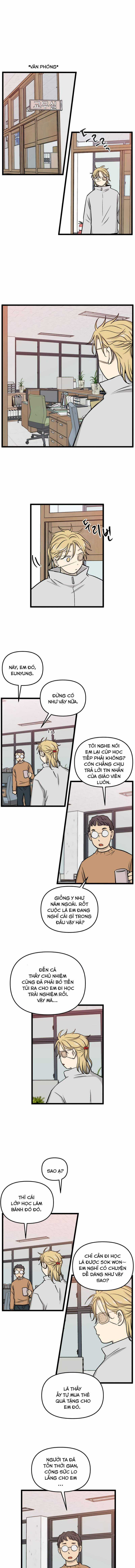 NO HOME Chapter 222 trang 5