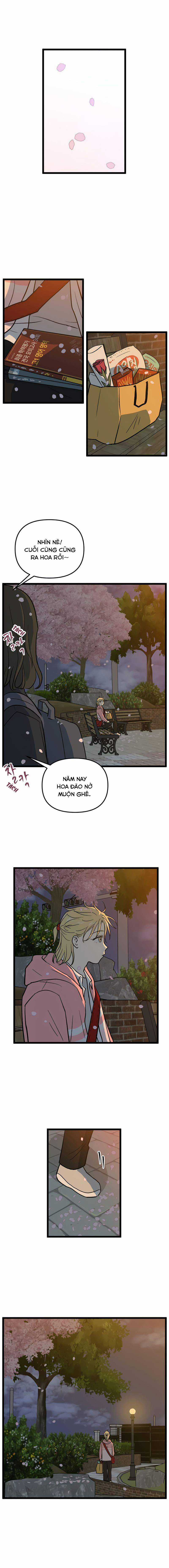 NO HOME Chapter 225 trang 7