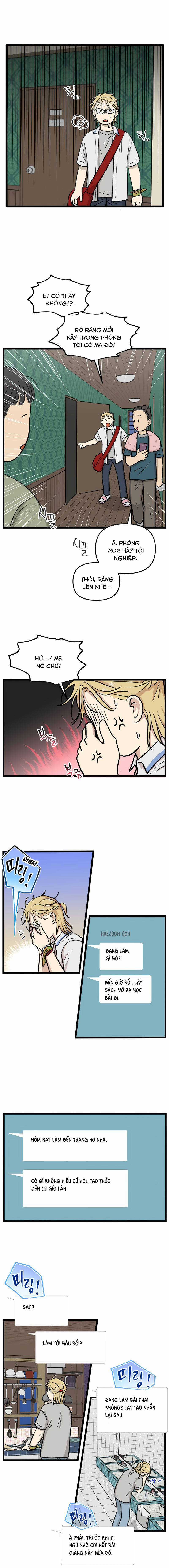 NO HOME Chapter 232 trang 5