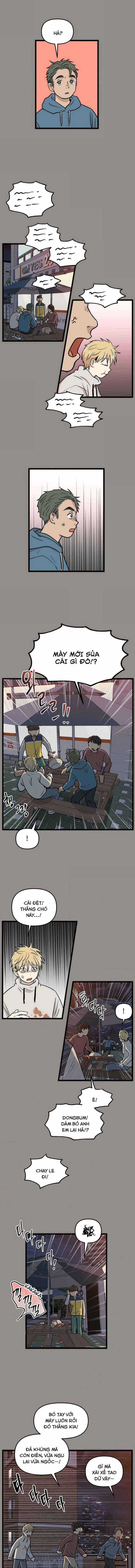 NO HOME Chapter 236 trang 2