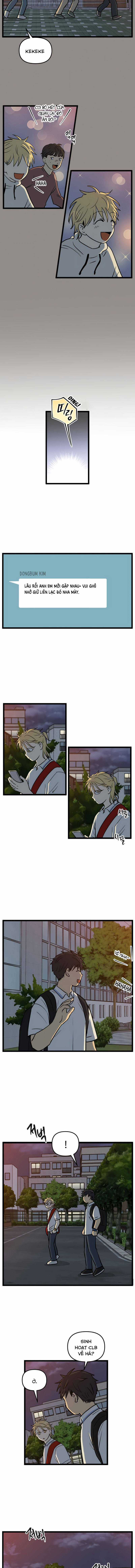 NO HOME Chapter 236 trang 3
