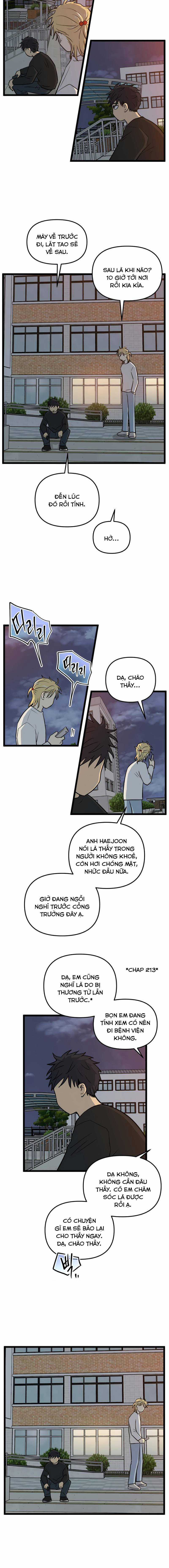 NO HOME Chapter 243 trang 6