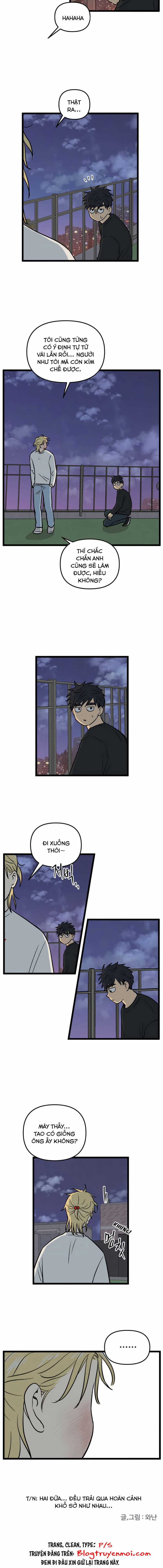 NO HOME Chapter 244 trang 10