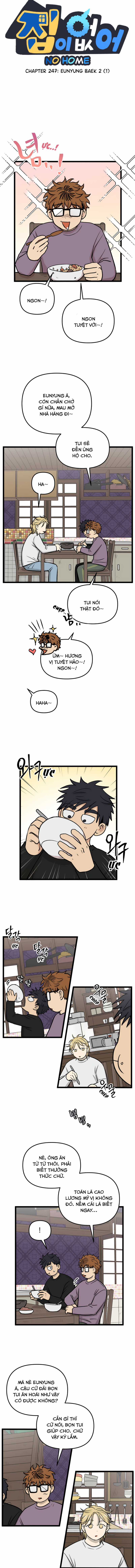 NO HOME Chapter 247 trang 2