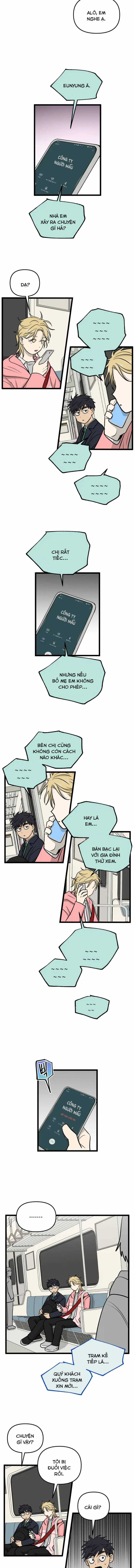 NO HOME Chapter 255 trang 6