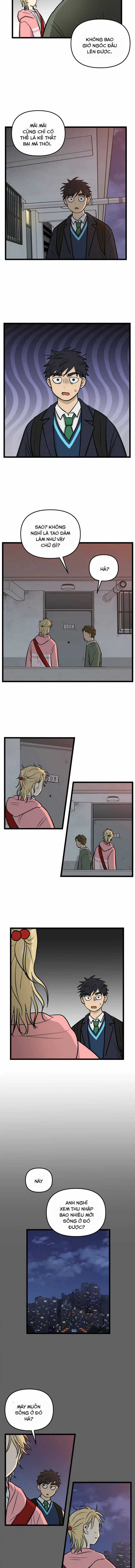 NO HOME Chapter 256 trang 3