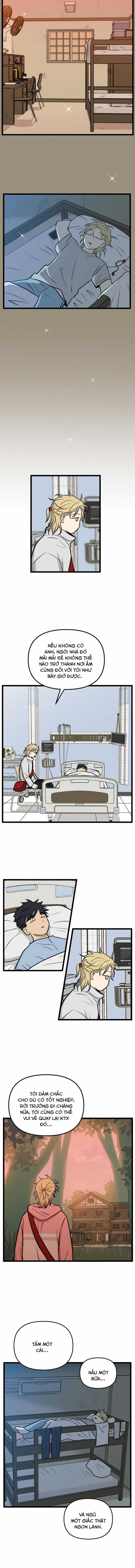 NO HOME Chapter 267 trang 4