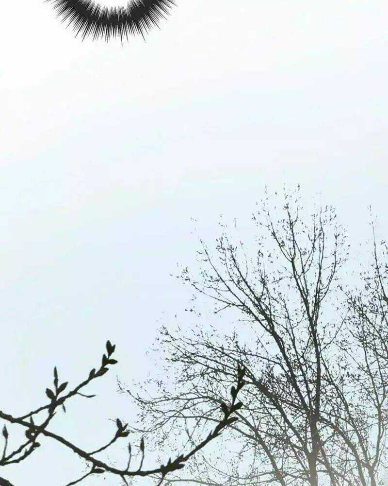 Nô Lệ Câm Chapter 2 trang 15