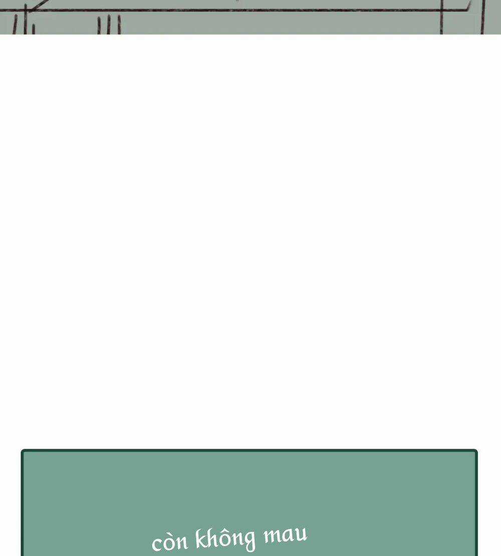 Nô Lệ Câm Chapter 52 trang 40