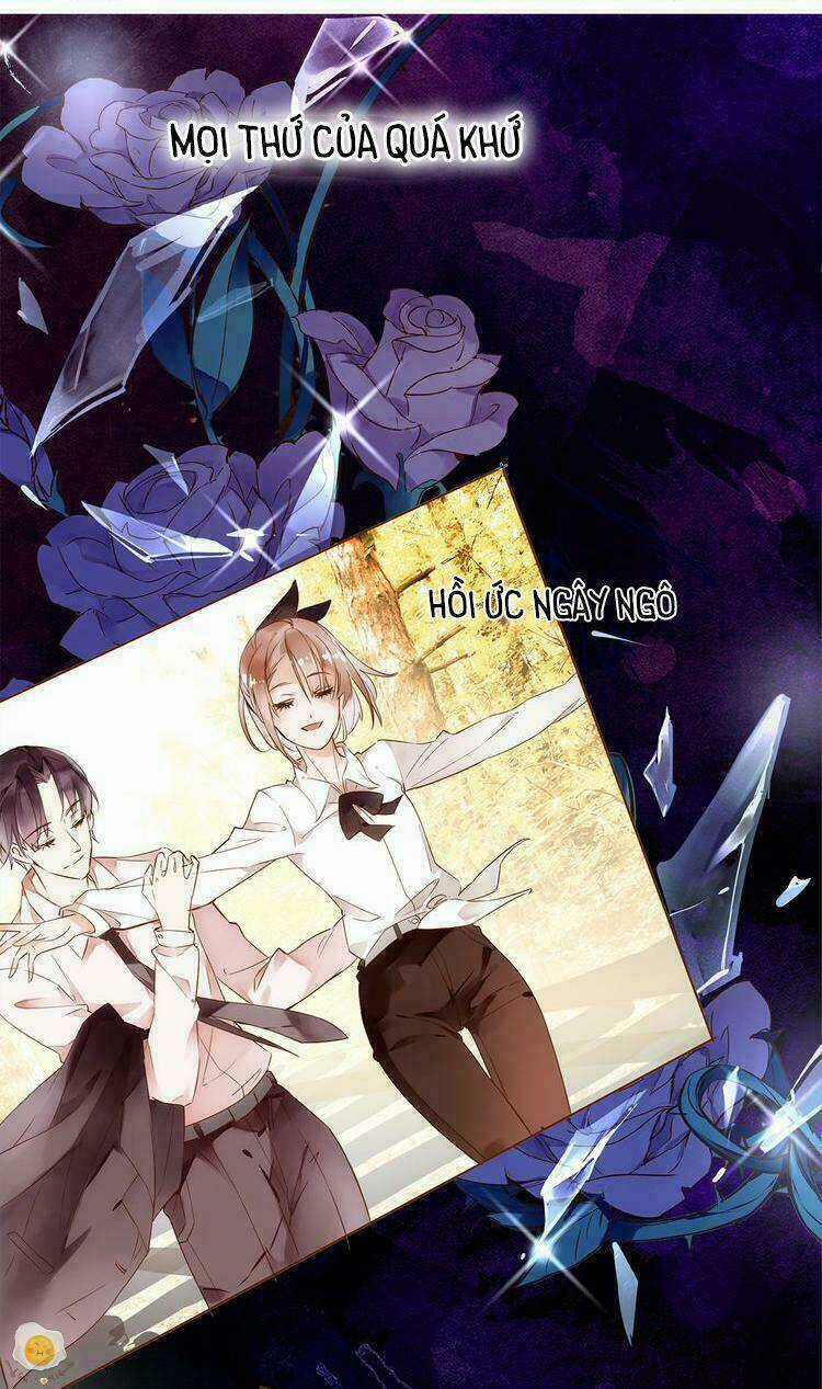 Nở Rộ Trên Bụi Gai Chapter 2 trang 17